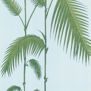 Palm Leaves (66-2010)